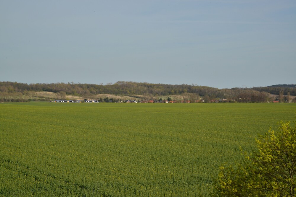 View from Hotel