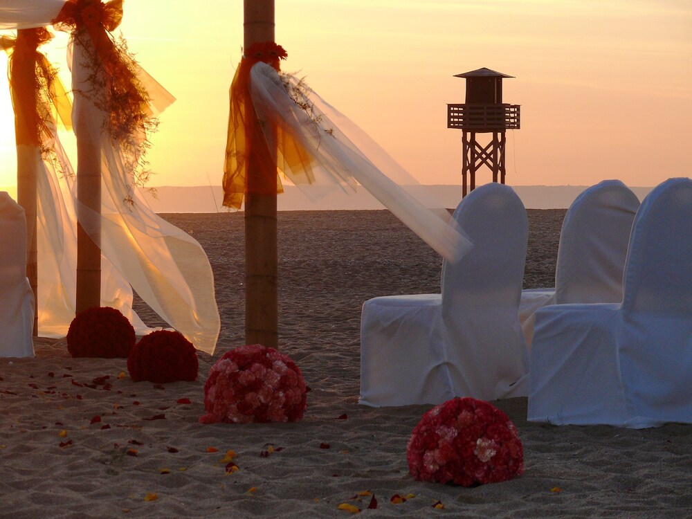 Outdoor Wedding Area