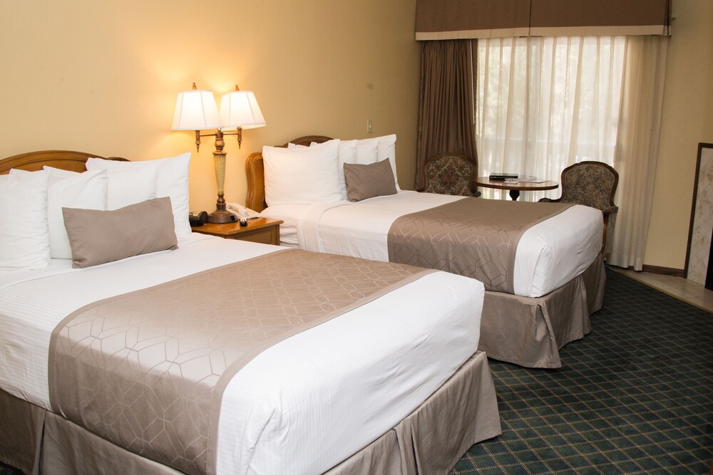 In-Room Amenity