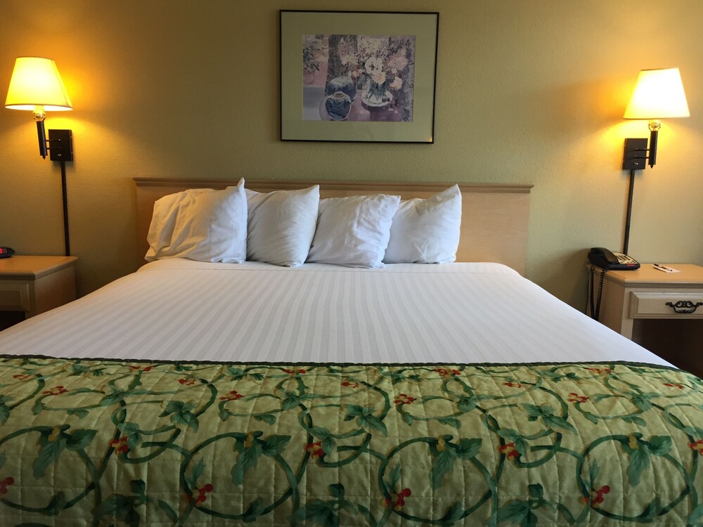 Guestroom View