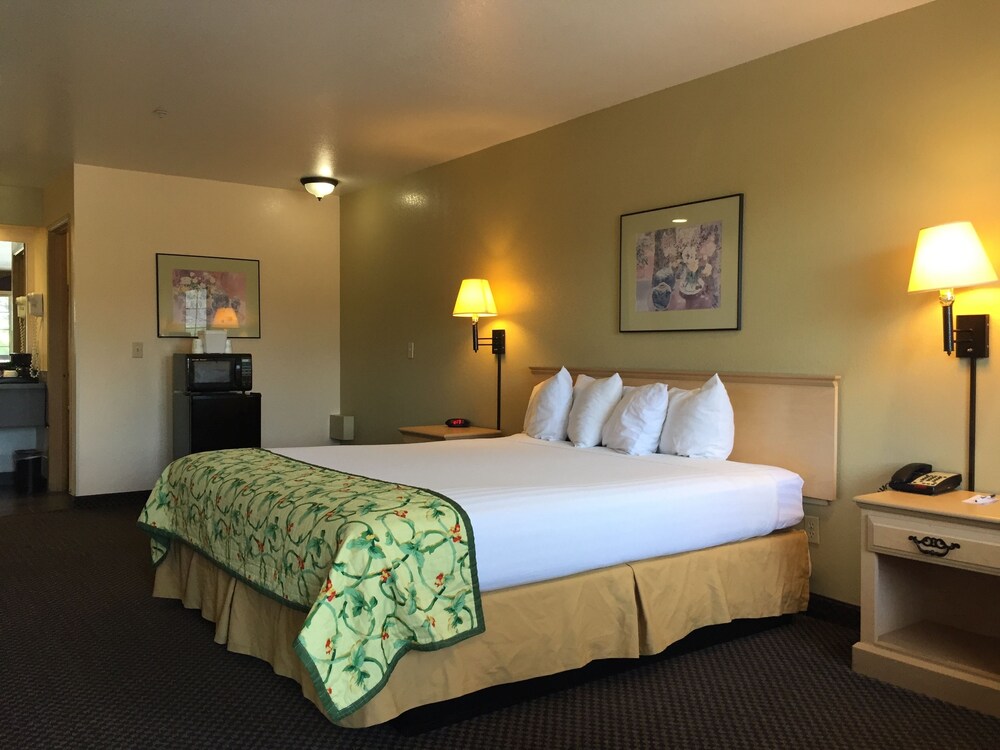 Guestroom View
