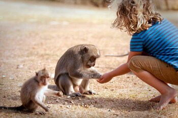 Childrens Activities