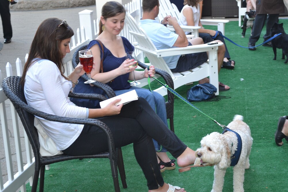 Pet-Friendly
