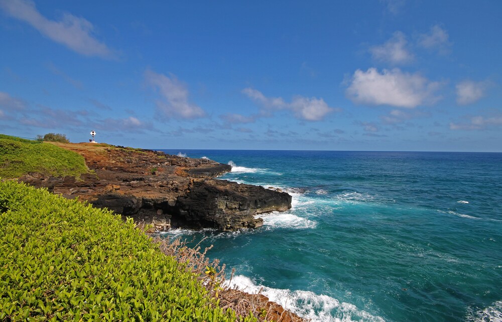 Beach/Ocean View