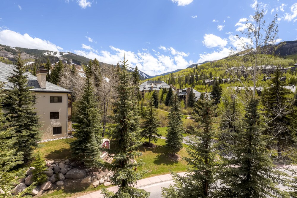 Premium Condo, 2 Bedrooms (Plus) - Terrace/Patio
