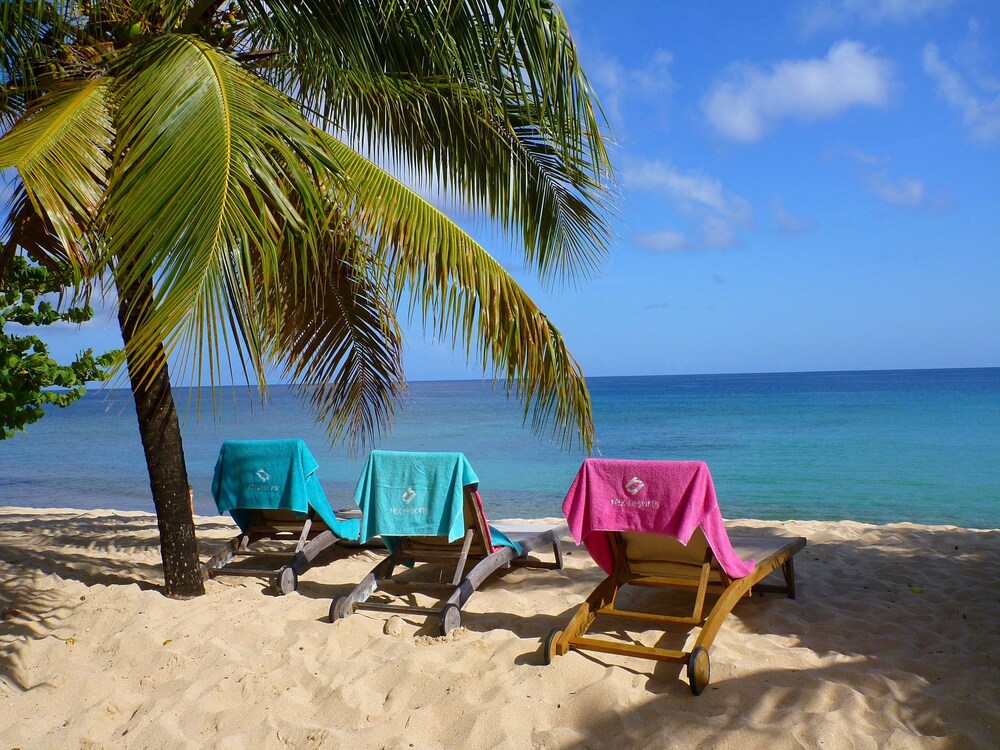 Beach/Ocean View