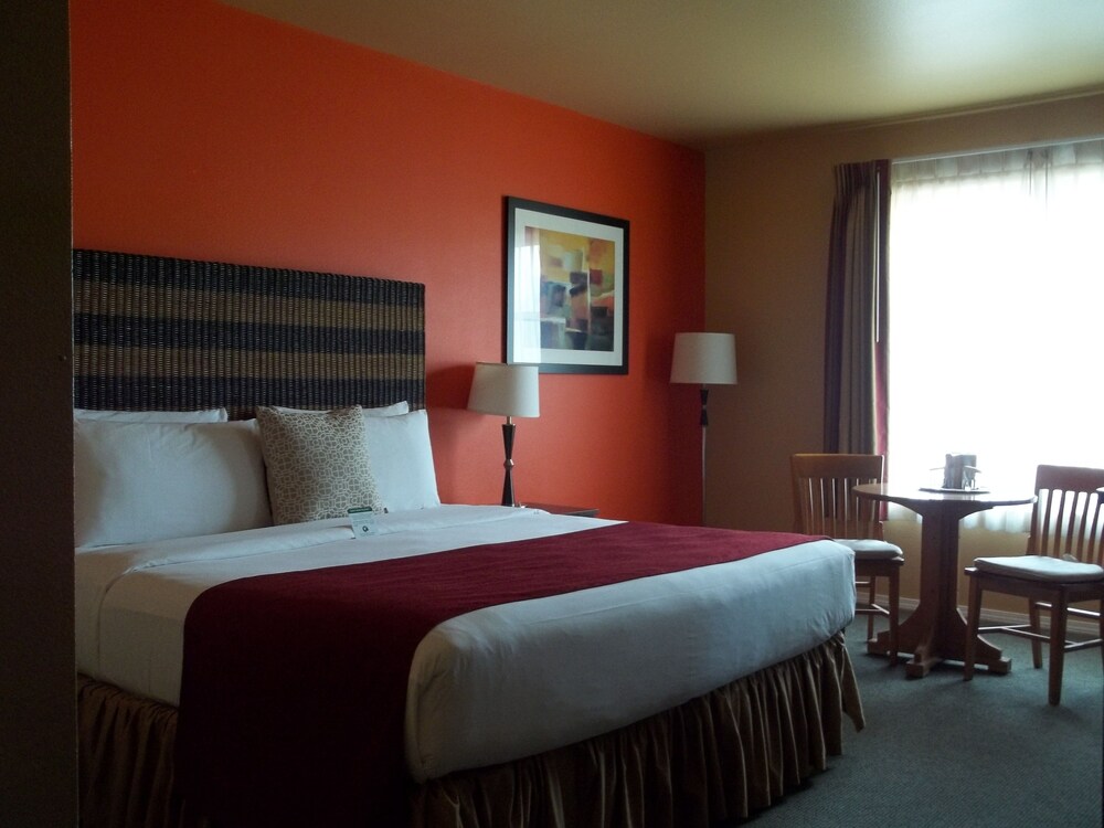 Guestroom View