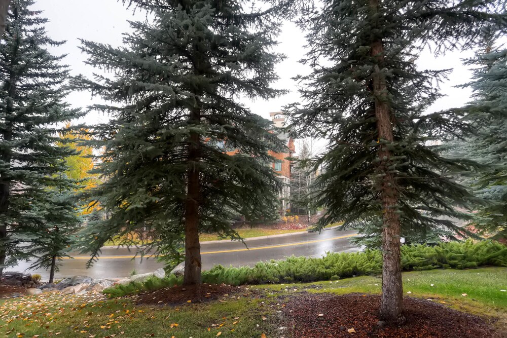 Guestroom View