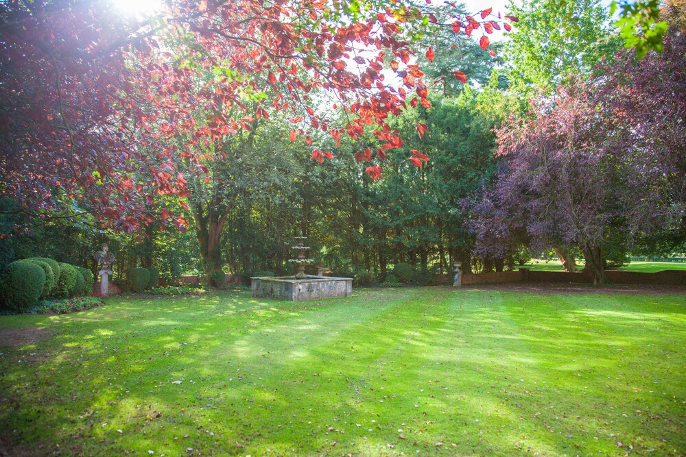 Outdoor Wedding Area