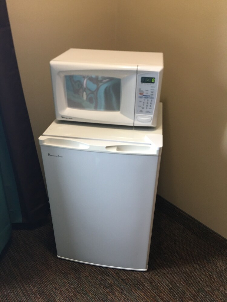 Mini-Refrigerator