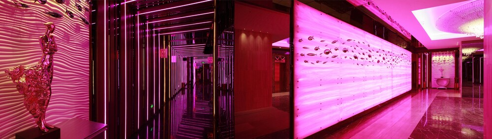 Nightclub