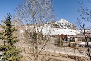 Guestroom View