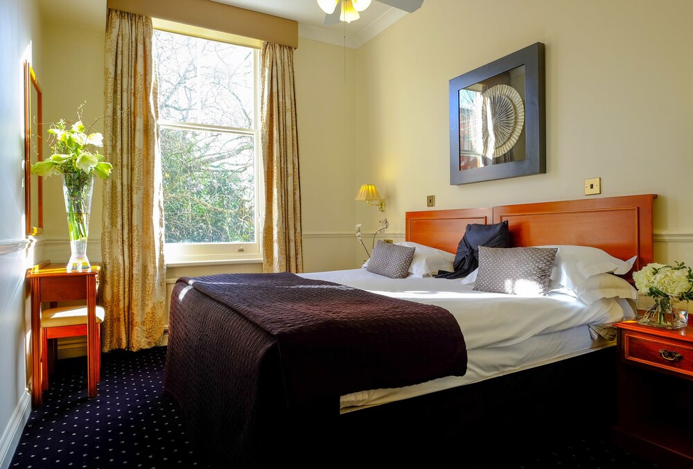 Standard Apartment, 1 King Bed with Sofa bed - Guestroom