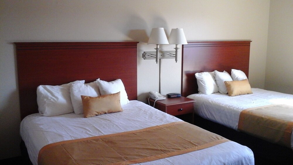 In-Room Amenity