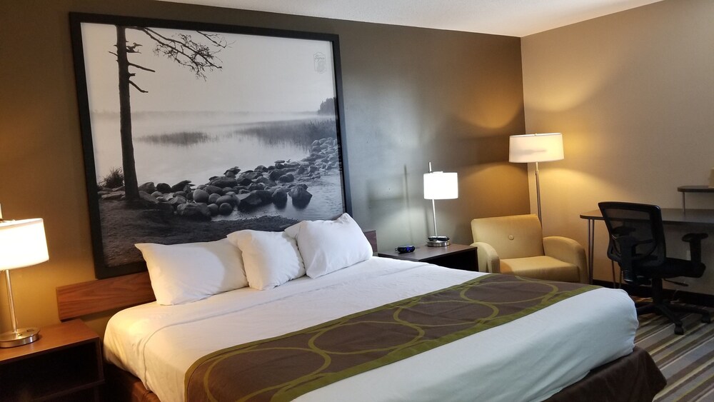 Guestroom View