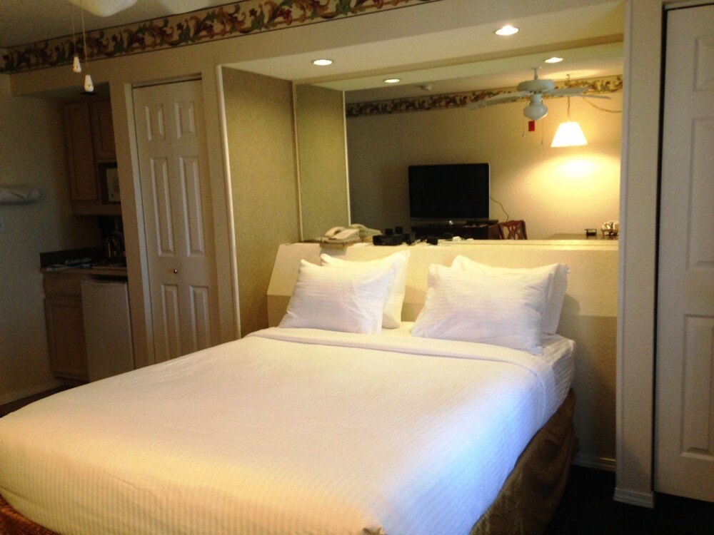 Studio, 1 Queen Bed - Guestroom