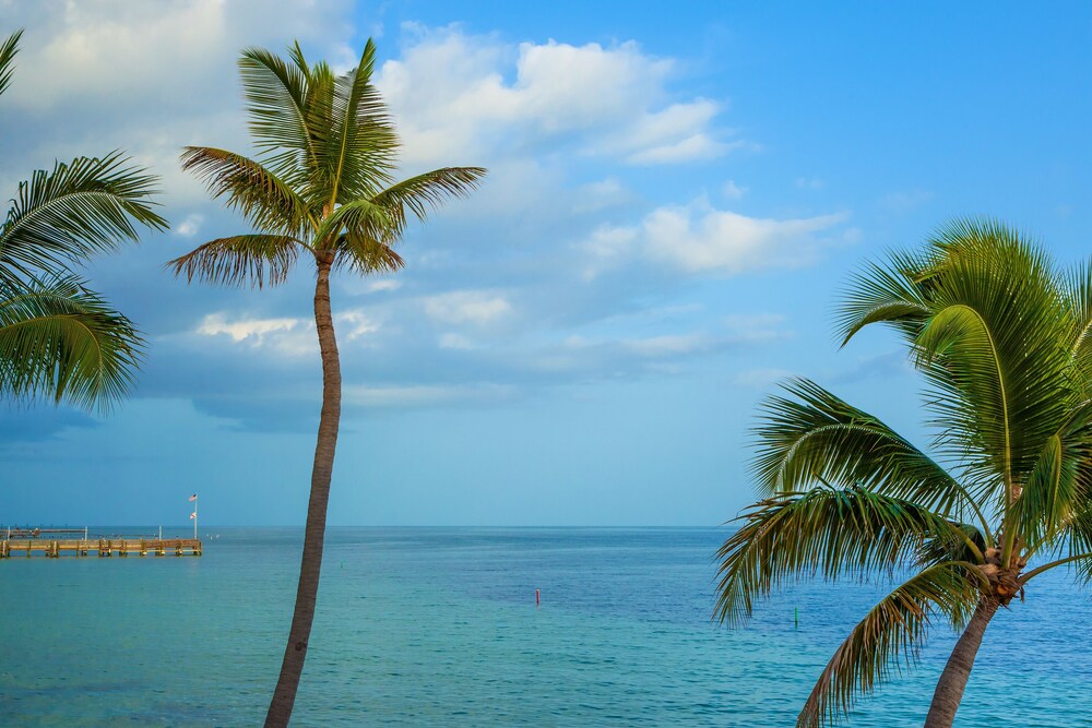 View from property, Southernmost Beach Resort