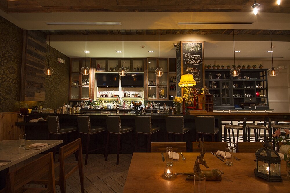 Hotel Bar