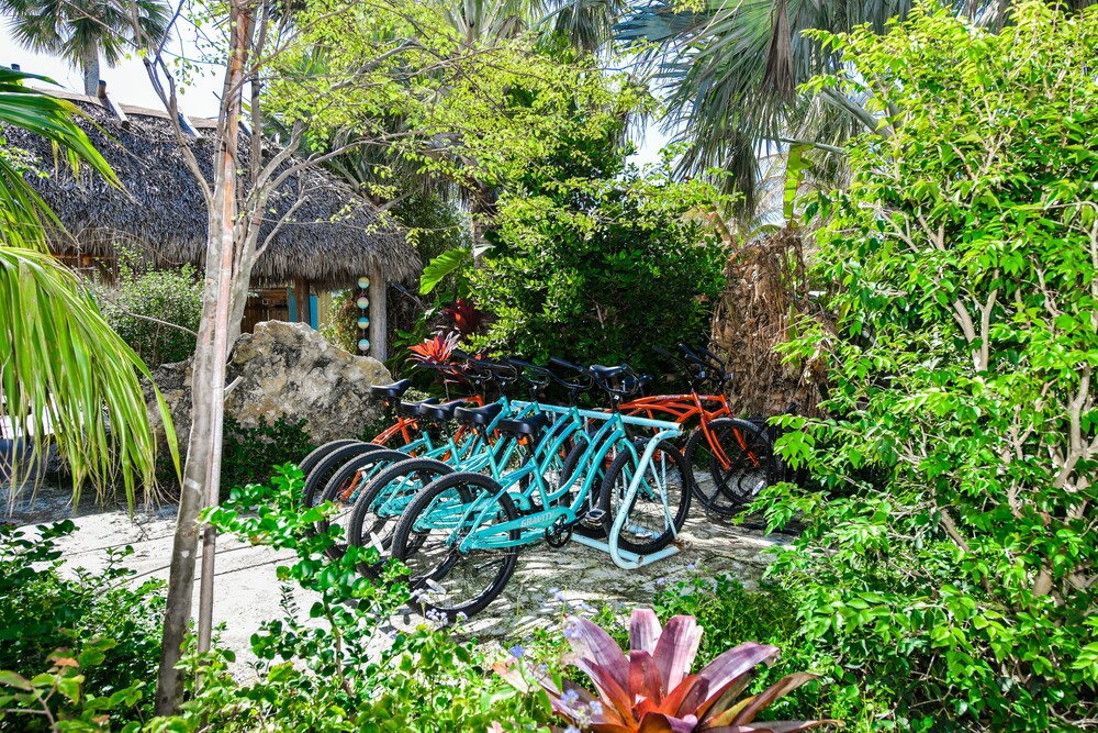 Bicycling