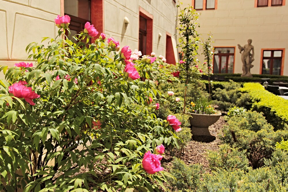 Trädgård