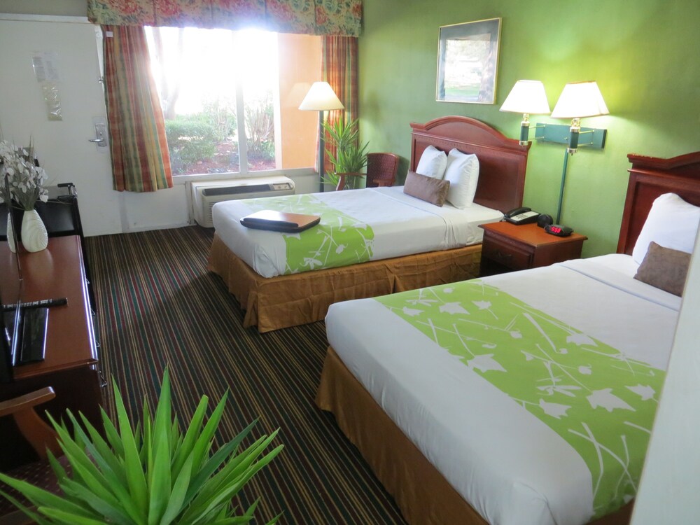 Guestroom View