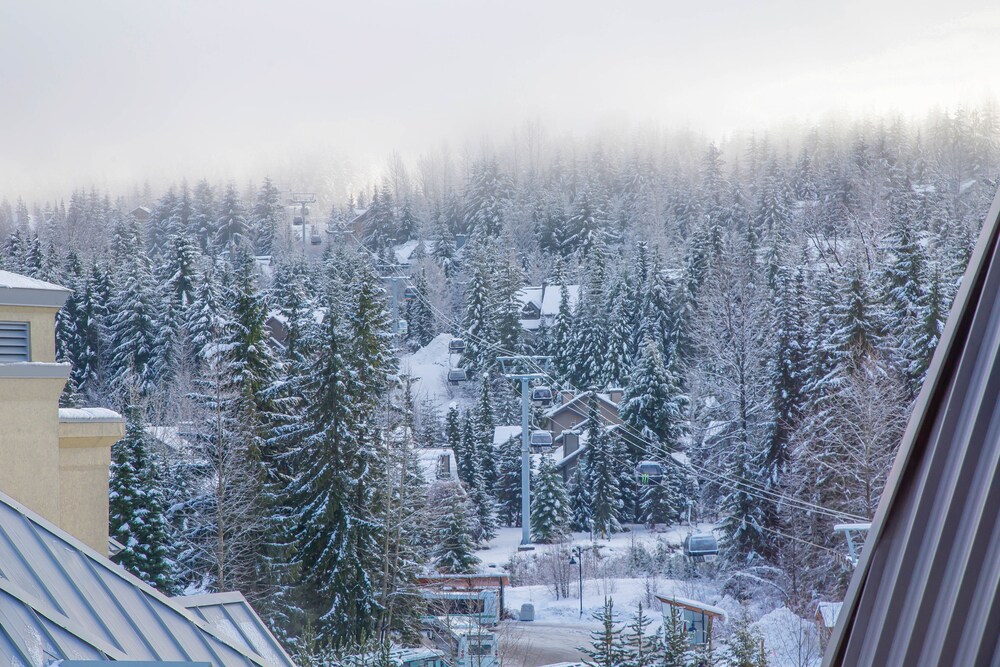 Suite, 2 Bedrooms, Valley View - Guestroom View