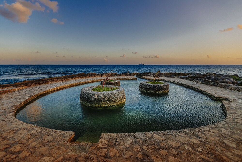 Natural Pool