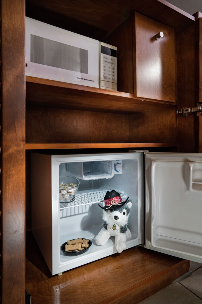 Mini-Refrigerator