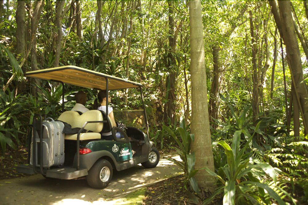 Airport Shuttle