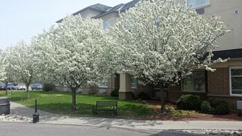 Hotel Entrance