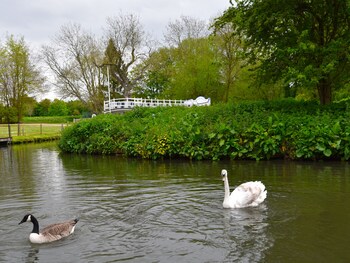Boating