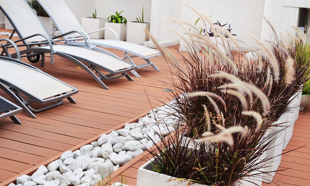 Terraza