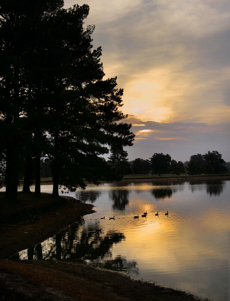 Lake View