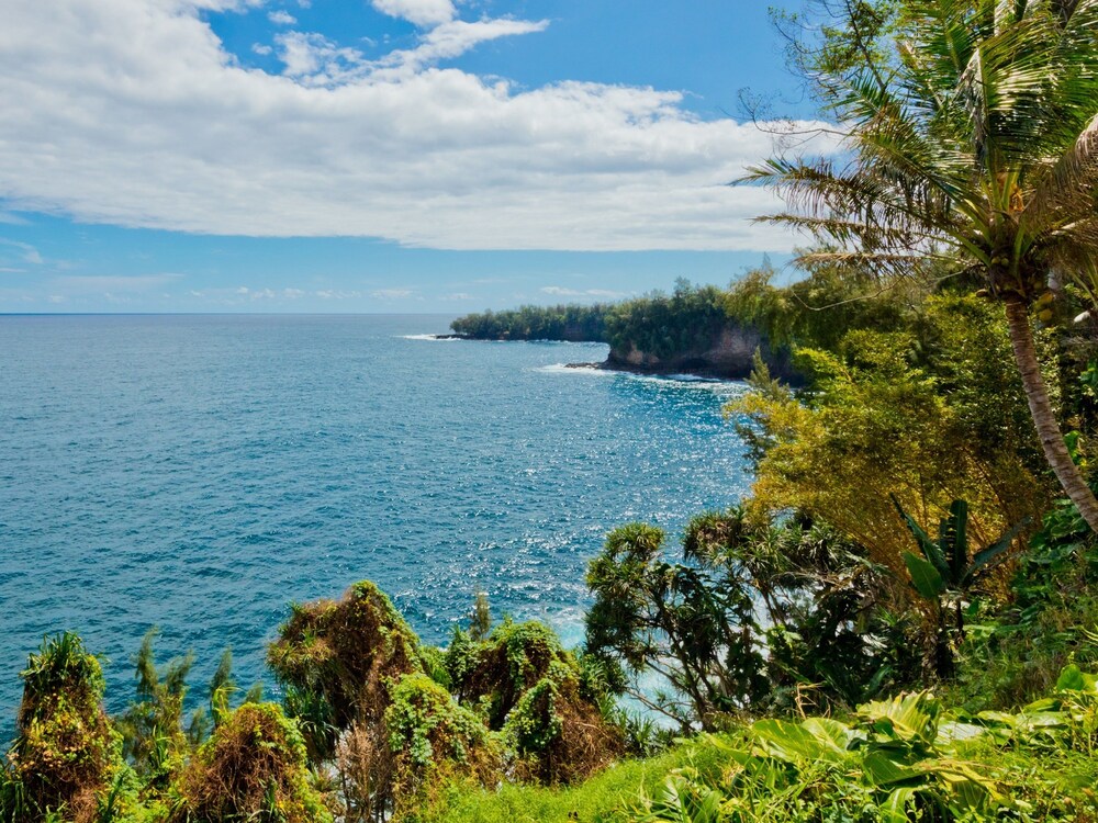 Beach/Ocean View