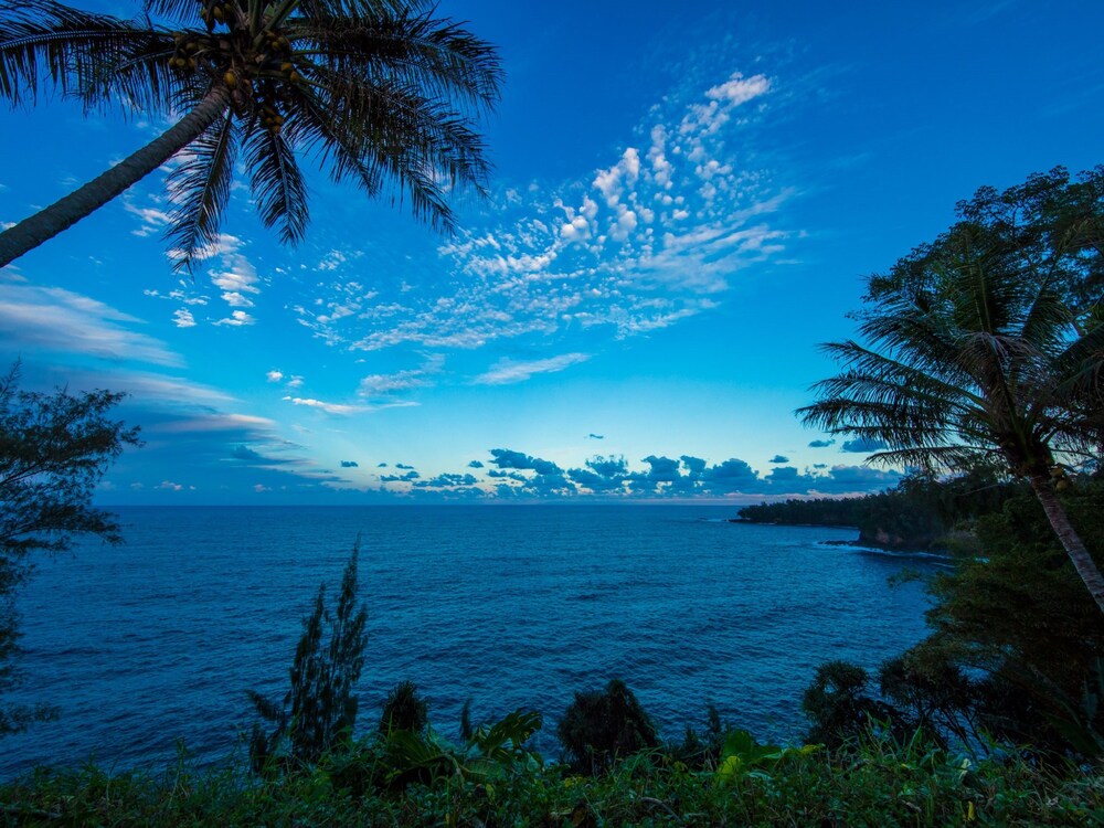 Beach/Ocean View