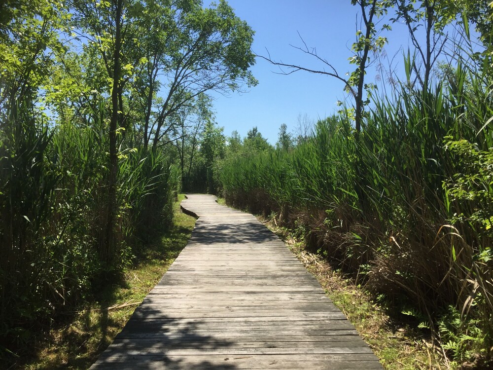 Hiking