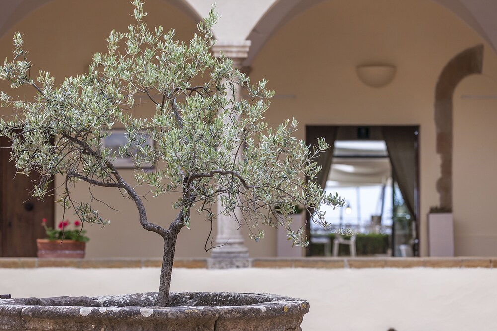 Courtyard View