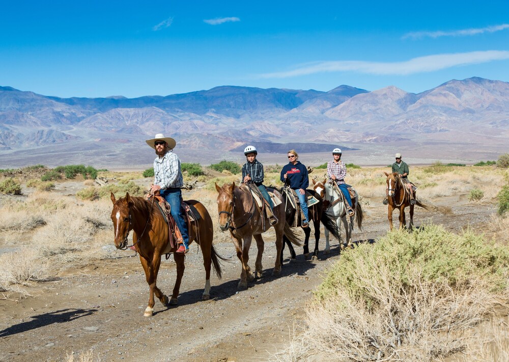 Horse Riding