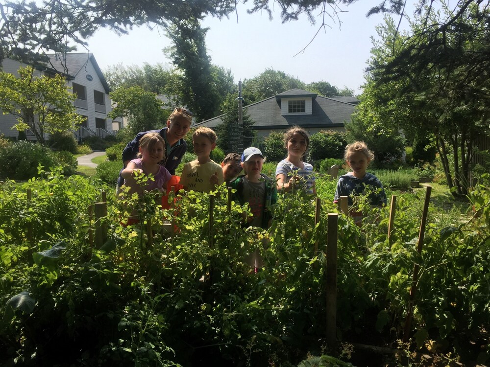 Childrens Activities