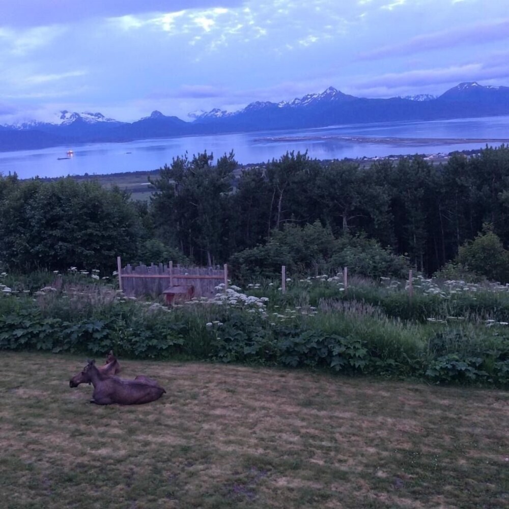 Udsigt fra hotellet