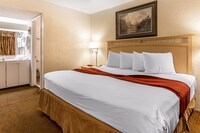Room, 1 King Bed, Smoking, Refrigerator & Microwave