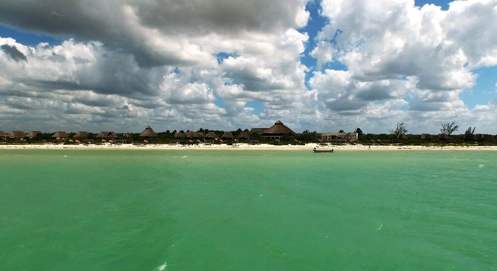 Beach/Ocean View