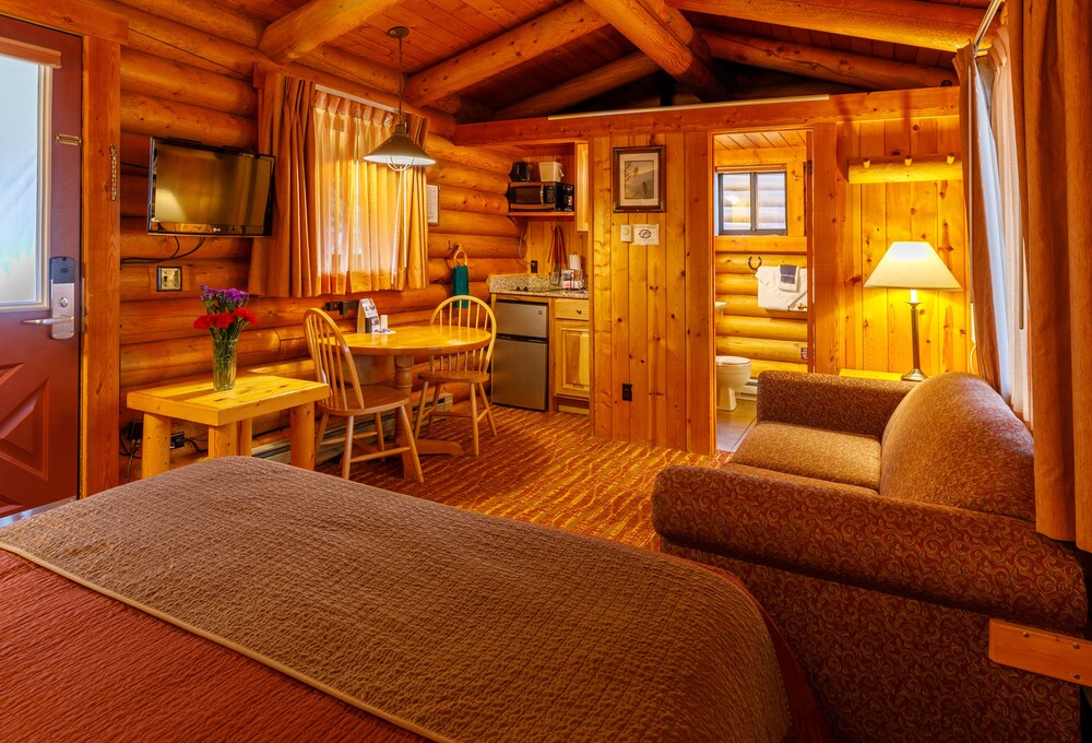 Cabin - , 1 Queen Bed with Sofabed - Guestroom