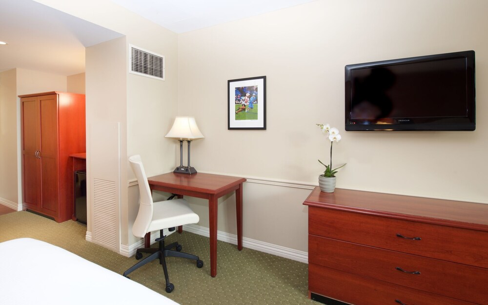 In-Room Amenity