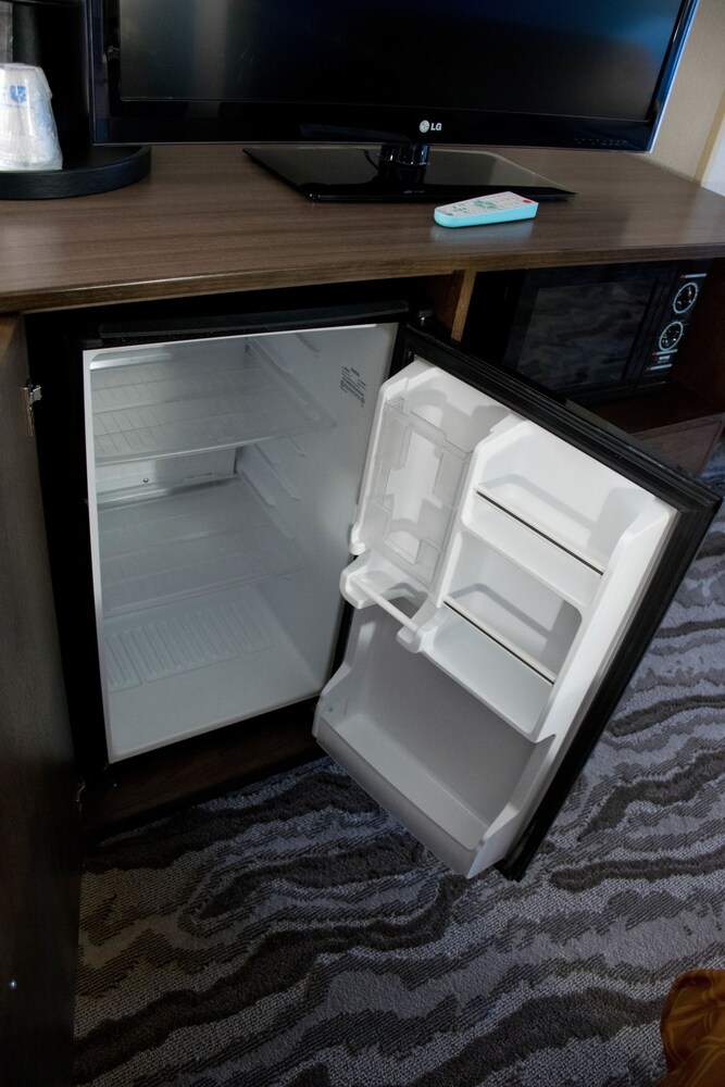 Mini-Refrigerator