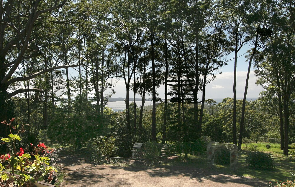Guestroom View