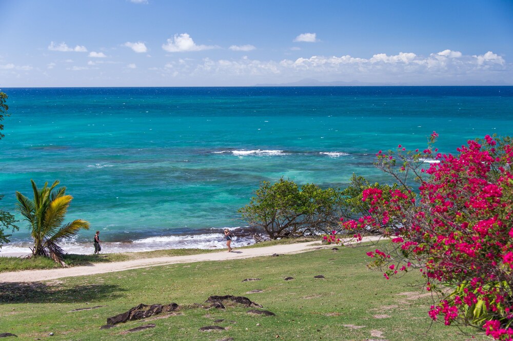 Vue sur la plage/la mer