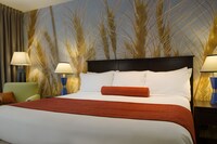 Executive Room, 1 King Bed, Non Smoking
