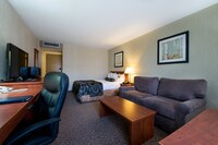 Premier Room, 1 Queen Bed with Sofabed