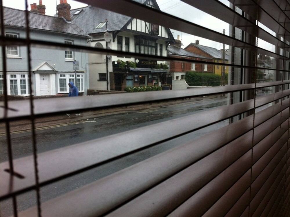 Guestroom View